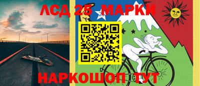 Альфа ПВП Новодвинск