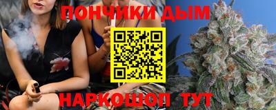 Альфа ПВП Новодвинск