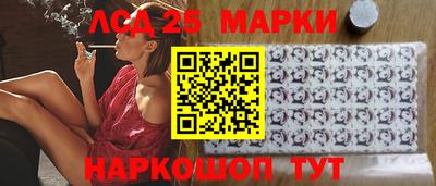 Альфа ПВП Новодвинск