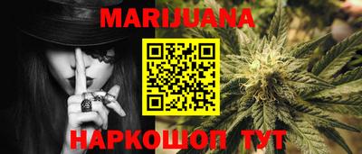 стаф Новозыбков