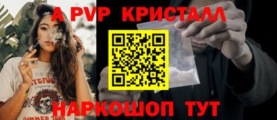 стаф Новозыбков