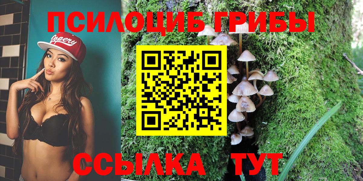 Псилоцибиновые грибы Cubensis Вичуга