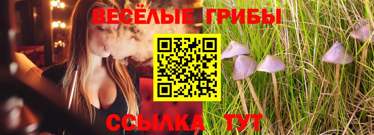 Галлюциногенные грибы мухоморы  Вход с VPN  Галлюциногенные грибы GOLDEN TEACHER  Вичуга 
