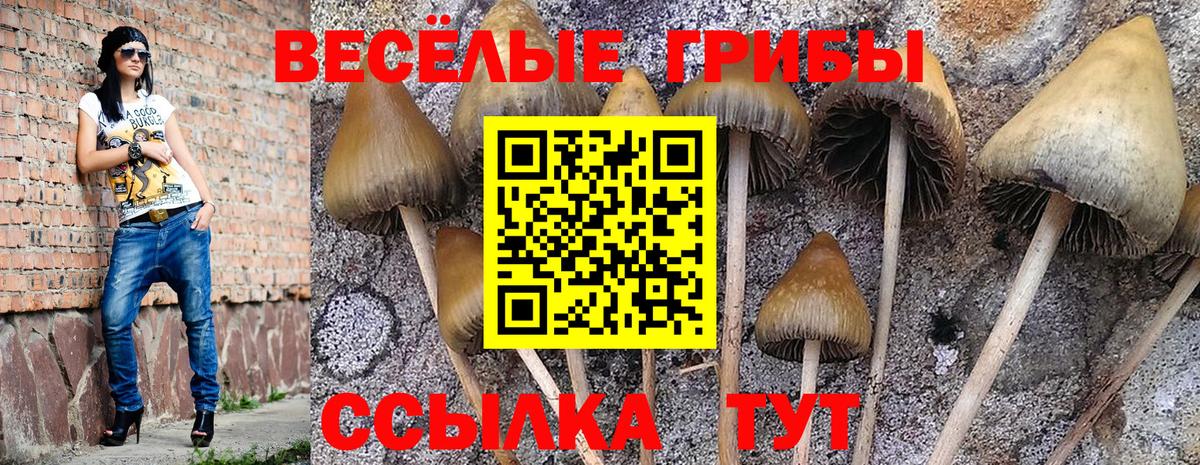 Марихуана Вичуга